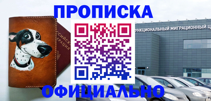 временная прописка в Благодарном
